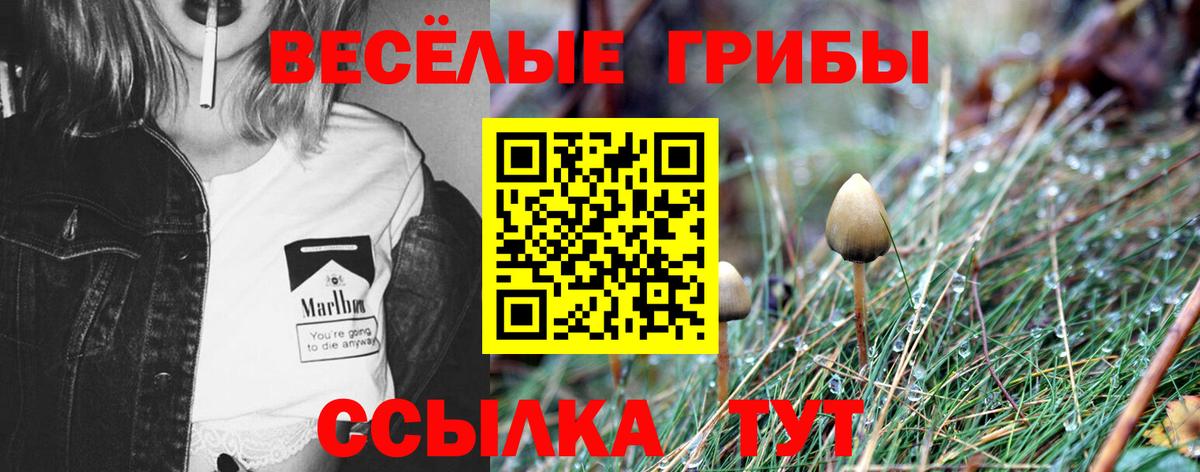 Псилоцибиновые грибы GOLDEN TEACHER Среднеуральск