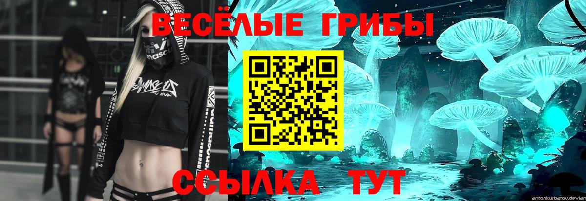 Галлюциногенные грибы MAGIC MUSHROOMS  Вход с VPN  Среднеуральск 